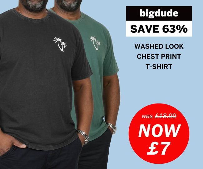 Bigdude weekly deal - washed look t-shirt with palm chest print now £7